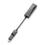 Astell&Kern AK HC3 USB Type-C Dual DAC Cable - Image 2