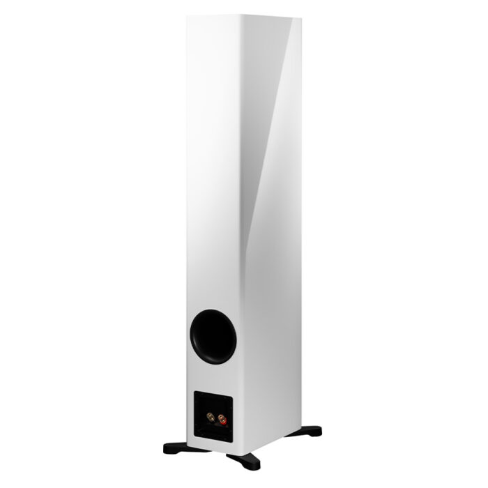 Dynaudio Evoke 50 Floorstanding Speakers (Pair) - Image 8