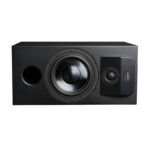 Lyngdorf CS-1 In-Cabinet Speaker