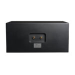 Lyngdorf CS-1 In-Cabinet Speaker - Image 2