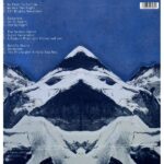 The Chemical Brothers - We Are The Night 2xLP - Image 2