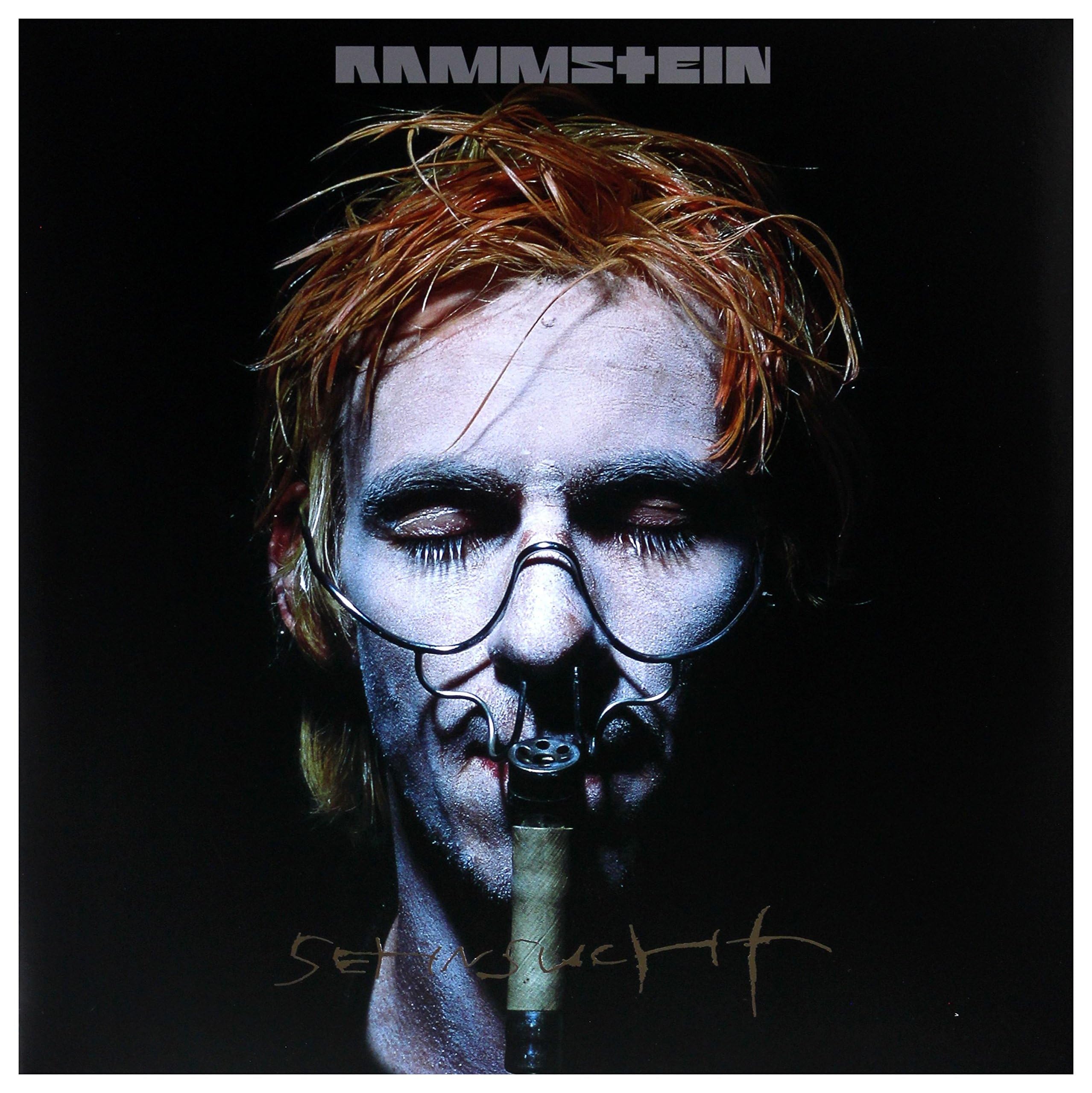 8134TKnVCzL Rammstein - Sehnsucht 2xLP — изображение 1